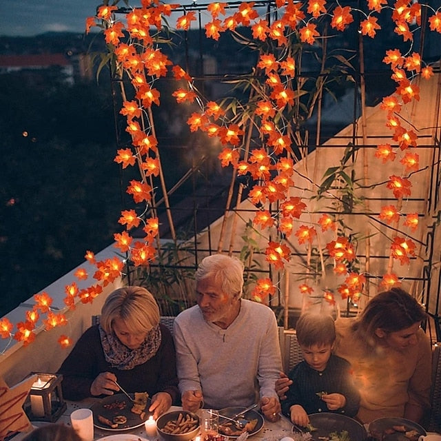 LED Lichterkette Ahornblätter Herbst | 1,5 m 10 LEDs Warmweiß | USB- oder Batteriebetrieb, für Innen & Außen geeignet 3