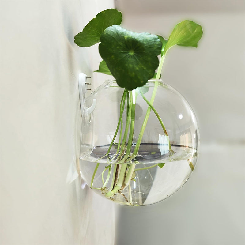 Wandvase Borosilikatglas, 10/12/15 cm | Bohrfreie Montage ohne Werkzeug | Wasserdicht, hitzebeständig, kratzfest 6