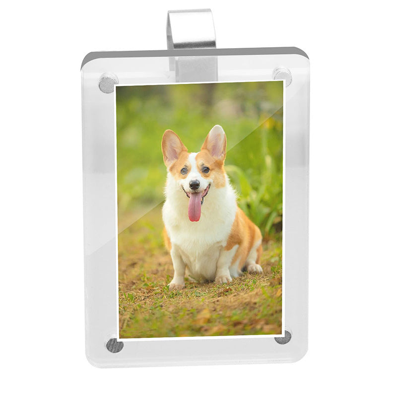Fotoklip na sluneční clonu v autě | Pro fotografie 8,9x5,8 cm | Univerzální | SnapView