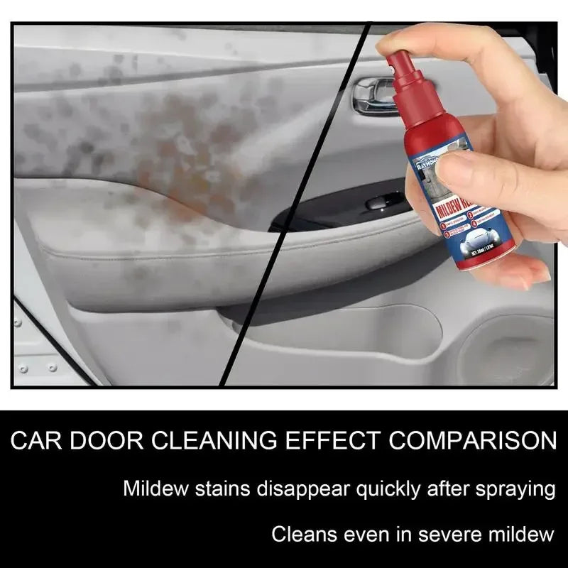 Auto-Schimmelentferner Spray | Für Innenraum Oberflächen | Schnell anwenden | MoldGuard