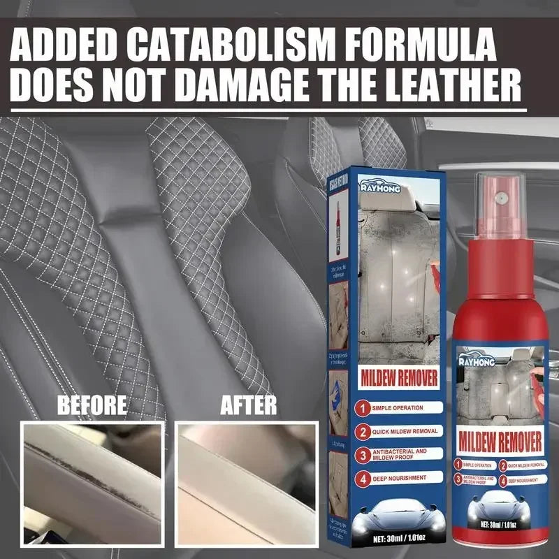 Auto-Schimmelentferner Spray | Für Innenraum Oberflächen | Schnell anwenden | MoldGuard
