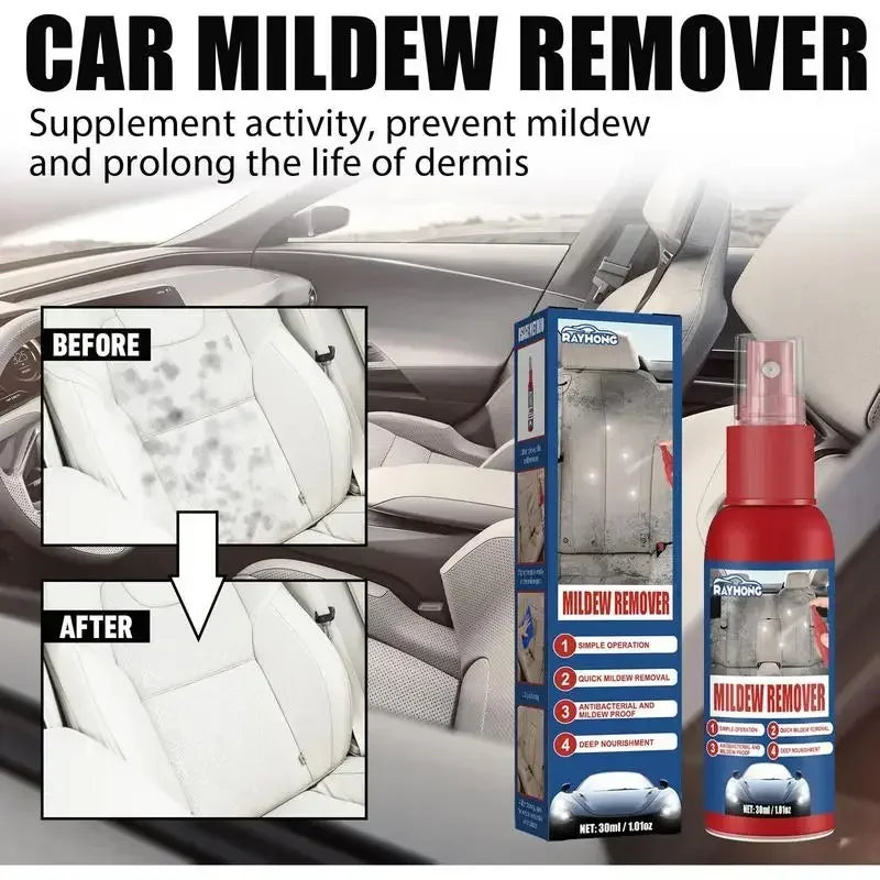 Auto-Schimmelentferner Spray | Für Innenraum Oberflächen | Schnell anwenden | MoldGuard