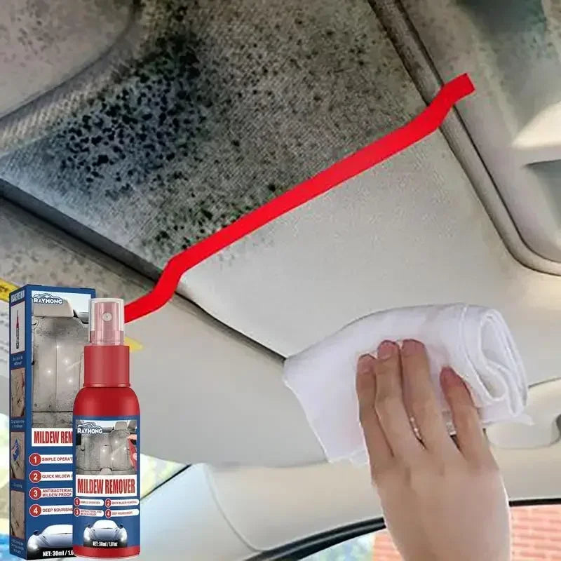 Auto-Schimmelentferner Spray | Für Innenraum Oberflächen | Schnell anwenden | MoldGuard