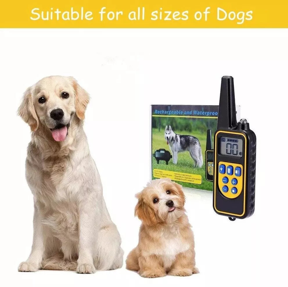Hunde Erziehungshalsband Elektronisch | 2600ft Reichweite, Vibration & Ton | Wasserdicht & Wiederaufladbar mit Fernbedienung 2
