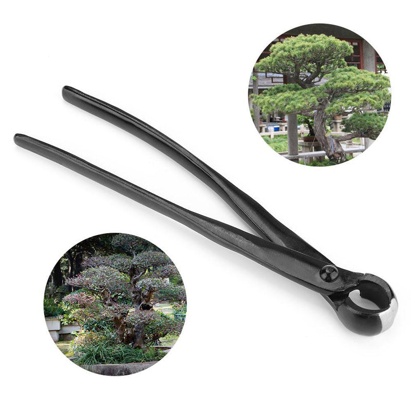 Branch Knopf Schneider Bonsai | Manganstahl | Konkaver Schnitt | Knoblex