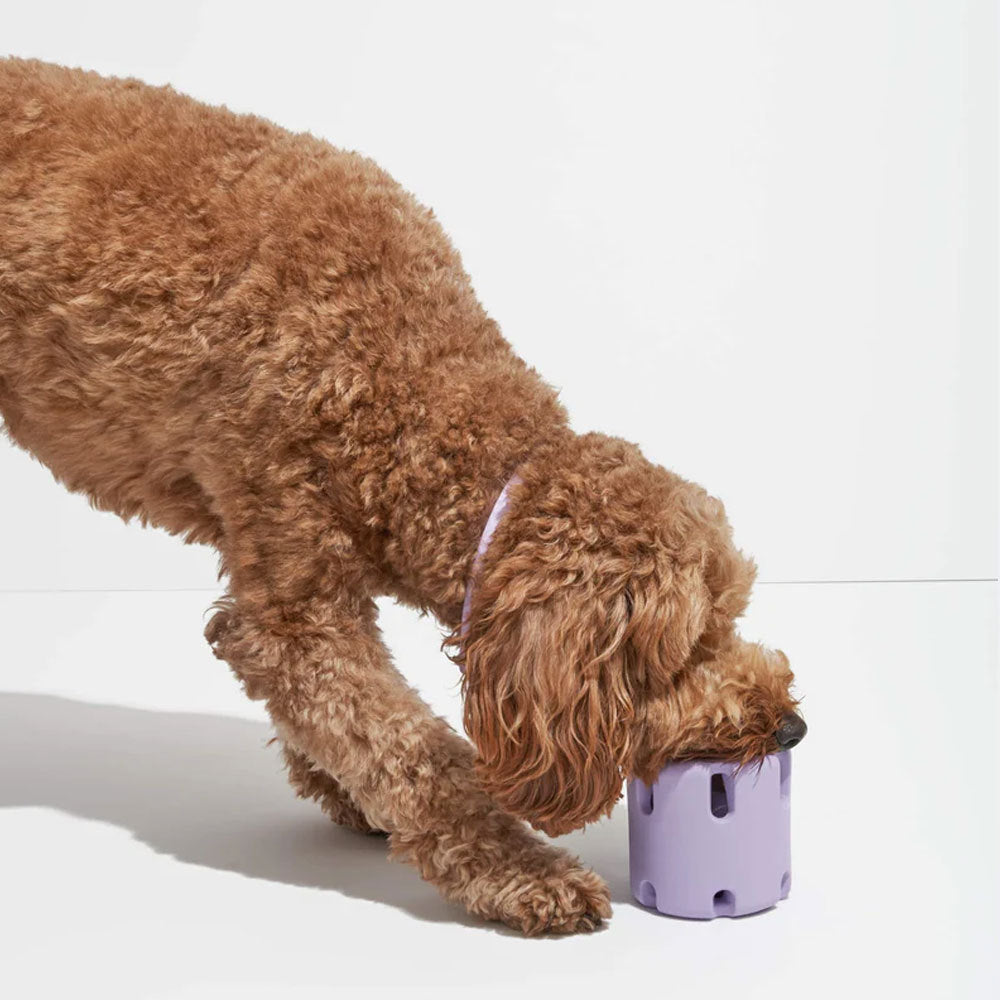FetchFun™ | Tennis Hundekauspielzeug