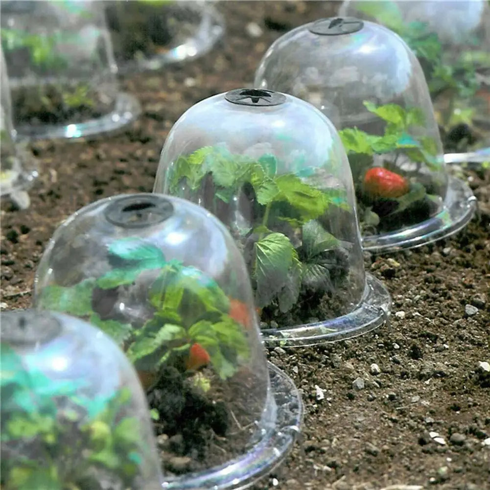 Garten Pflanzenabdeckung | Transparent Frostschutz | Für Gemüse & Jungpflanzen | Frostguard