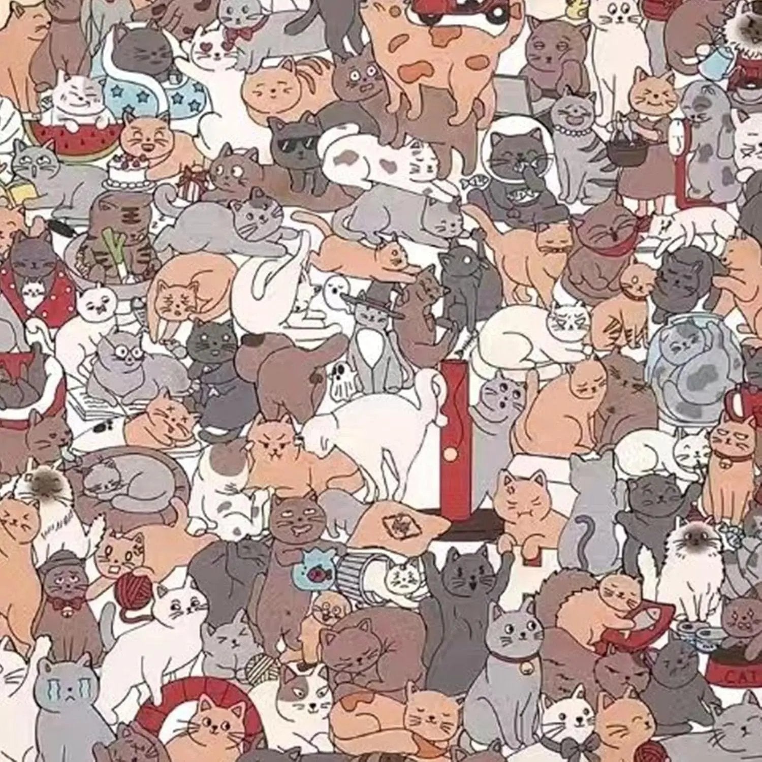 Puzzle ve tvaru kočky | Neobvyklé dílky pro ještě více zábavy při skládání | pro relaxaci | CalmPaws