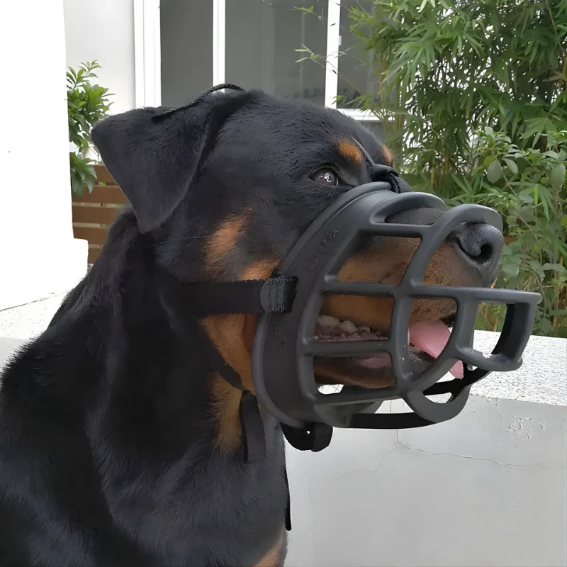 Hundemaulkorb | Verstellbares Silikon | Atmungsaktives Design | Safesnout