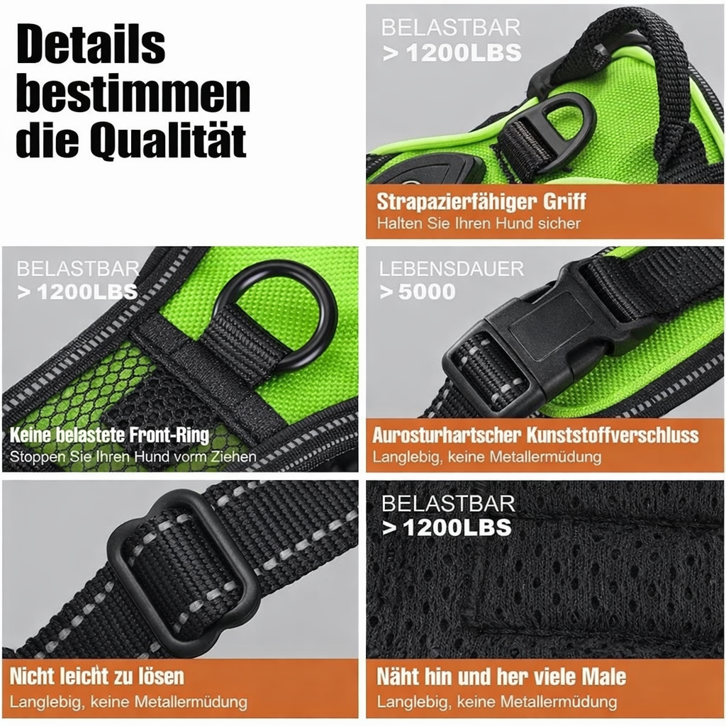 LED-Hundegeschirr | Verstellbare No-Pull-Passform | Strapazierfähiges Oxford-Gewebe | ShineDog