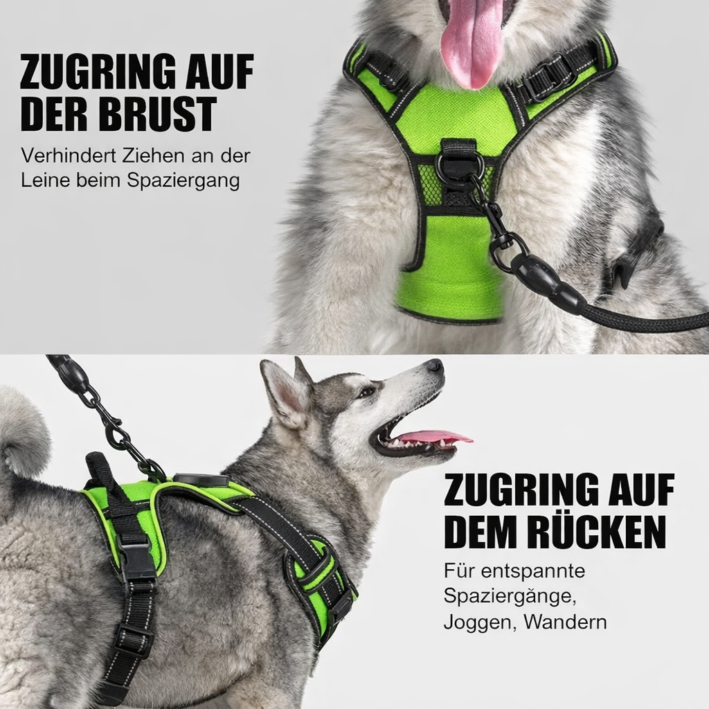 LED-Hundegeschirr | Verstellbare No-Pull-Passform | Strapazierfähiges Oxford-Gewebe | ShineDog