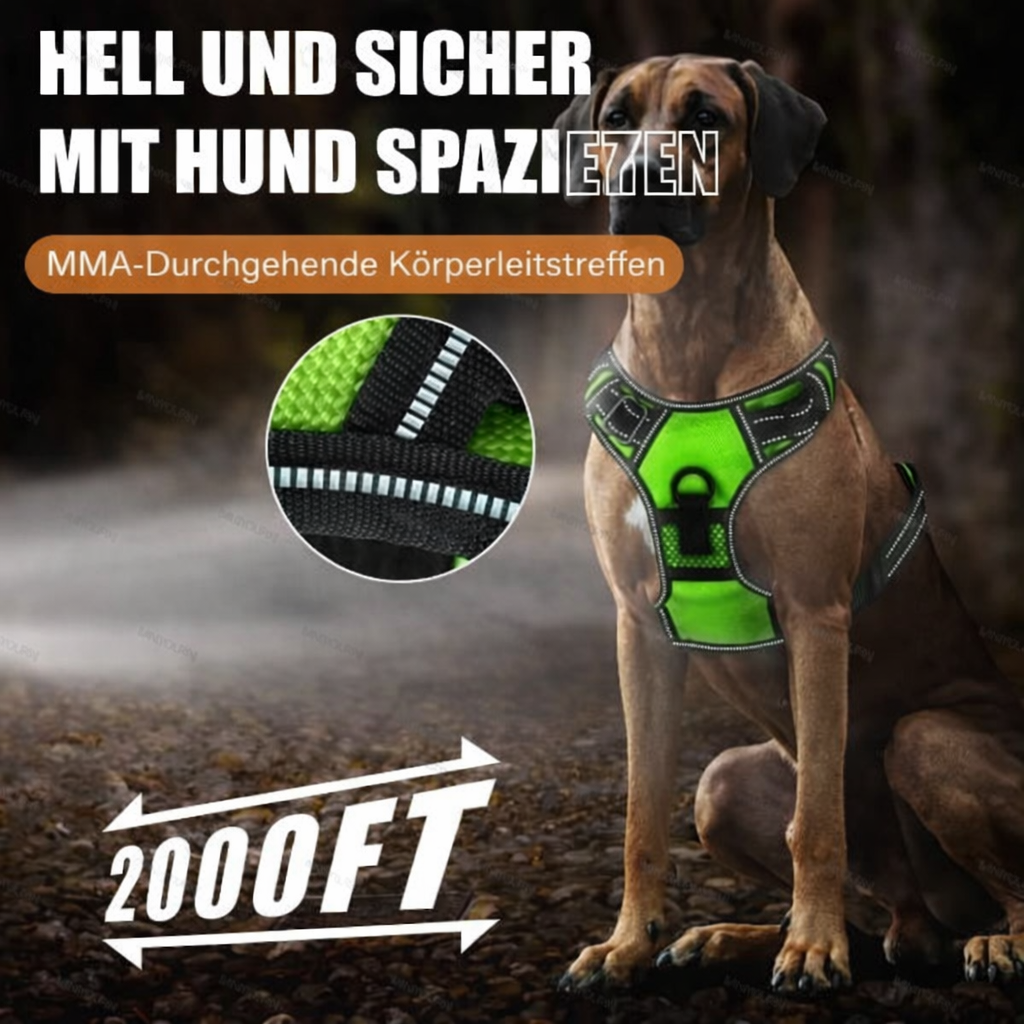 LED-Hundegeschirr | Verstellbare No-Pull-Passform | Strapazierfähiges Oxford-Gewebe | ShineDog