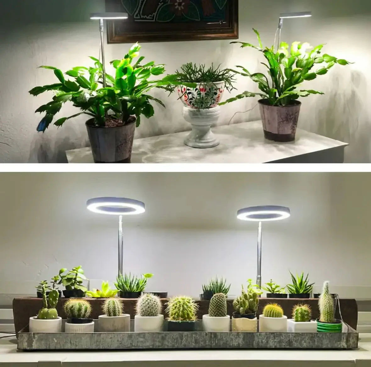 Pflanzenlampe | Vollspektrum Wachstum Licht | Timer und Dimmfunktion | PlantGlow