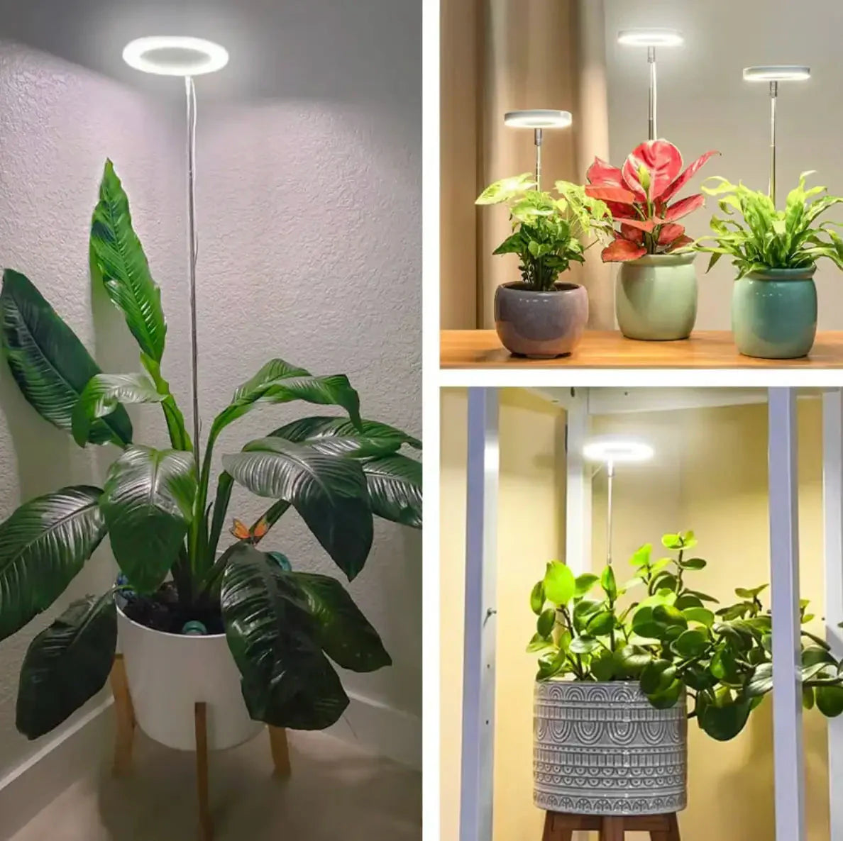 Pflanzenlampe | Vollspektrum Wachstum Licht | Timer und Dimmfunktion | PlantGlow