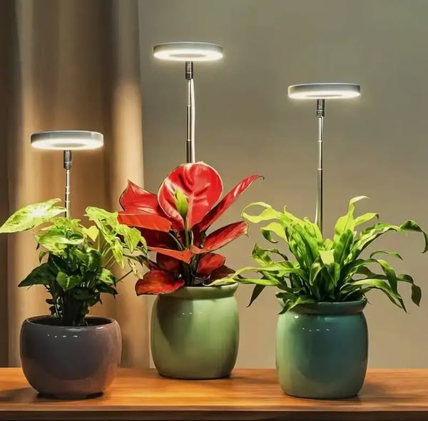 Pflanzenlampe | Vollspektrum Wachstum Licht | Timer und Dimmfunktion | PlantGlow