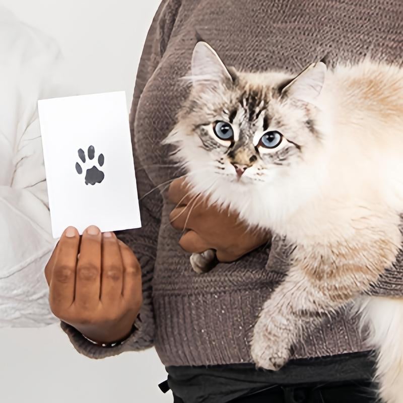 💖🐶🐱Pfotenabdruck-Kit