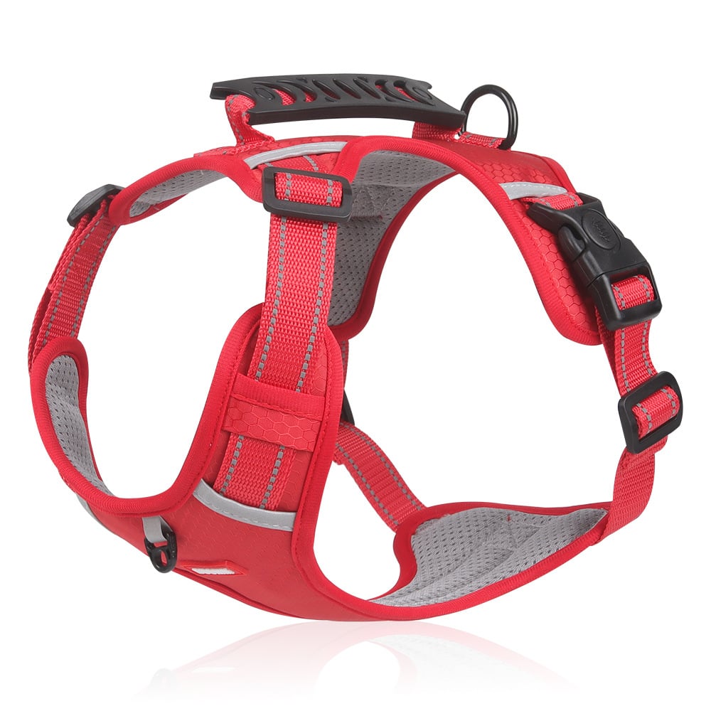 Reflektierende Hundeweste ohne Zug | 360° Reflektiv & Verstellbar | Größen XS-XL | Stridewell