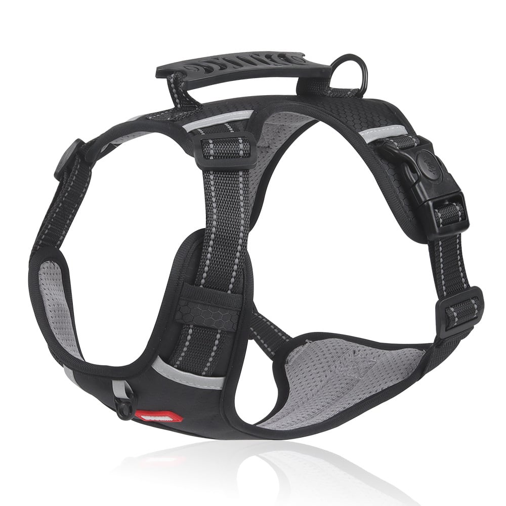 Reflektierende Hundeweste ohne Zug | 360° Reflektiv & Verstellbar | Größen XS-XL | Stridewell