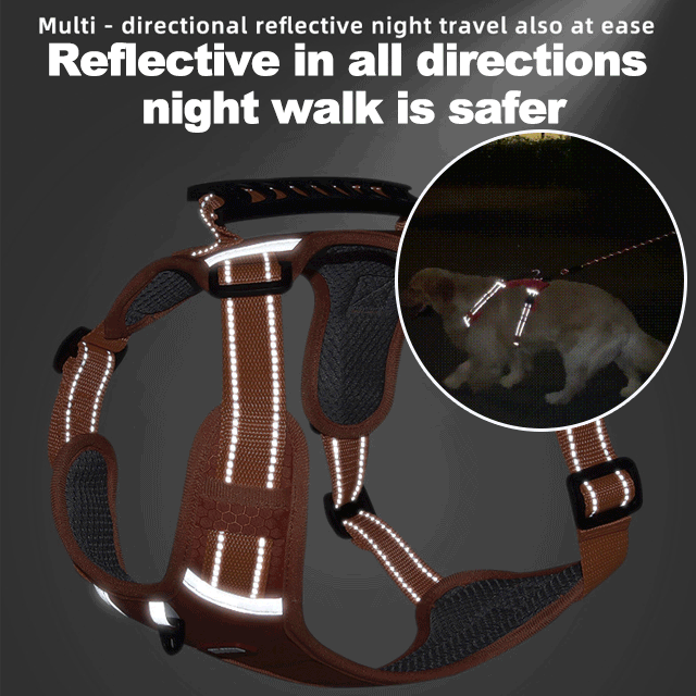 Reflektierende Hundeweste ohne Zug | 360° Reflektiv & Verstellbar | Größen XS-XL | Stridewell