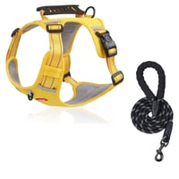 Reflektierende Hundeweste ohne Zug | 360° Reflektiv & Verstellbar | Größen XS-XL | Stridewell