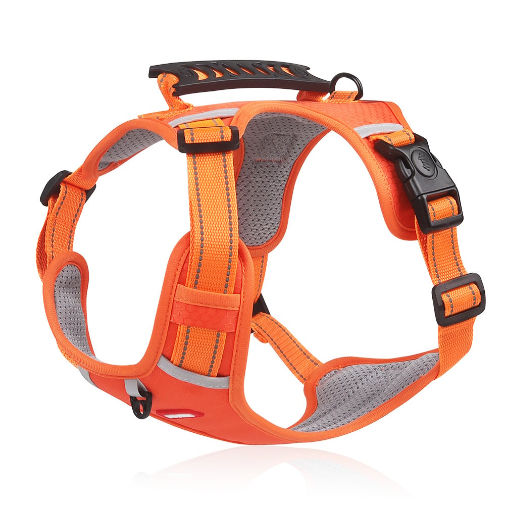 Reflektierende Hundeweste ohne Zug | 360° Reflektiv & Verstellbar | Größen XS-XL | Stridewell