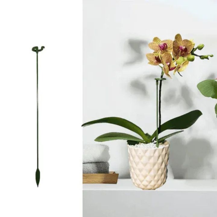 Stabile Rankhilfe für Blumen & Gemüse | Wetterfest & werkzeuglos | Orchideen & Tomaten | StemRise