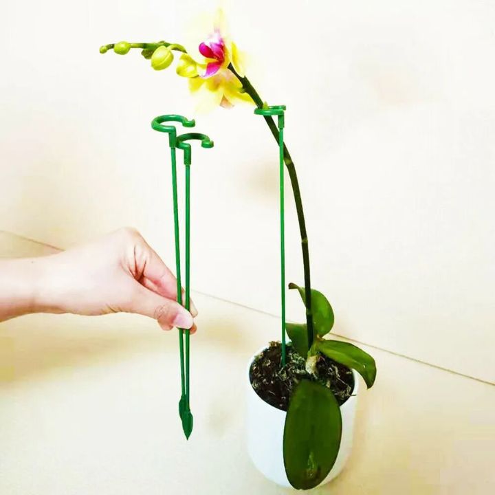 Stabile Rankhilfe für Blumen & Gemüse | Wetterfest & werkzeuglos | Orchideen & Tomaten | StemRise