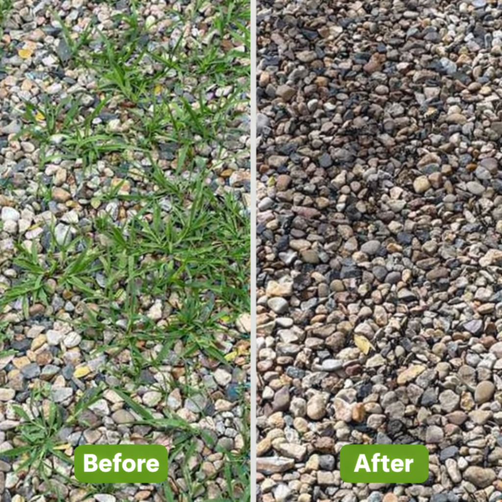 Unkrautbrenner | Chemiefreie Unkrautbekämpfung | Einstellbarer Flammenstab | Flammix