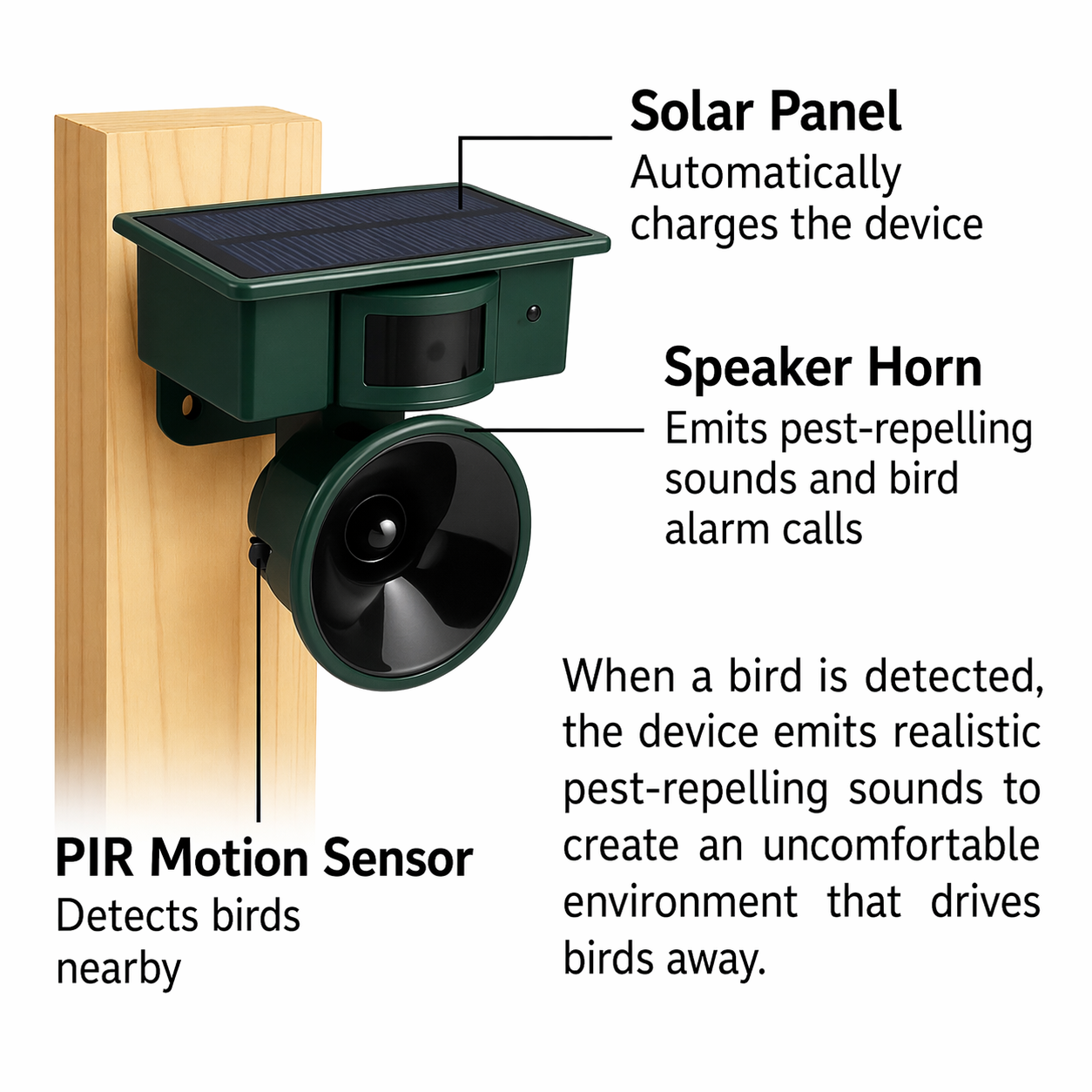 Vogelabwehr| Solarbetriebener Sensor | Tierfreundliche Raubvogelrufe | Birdfend