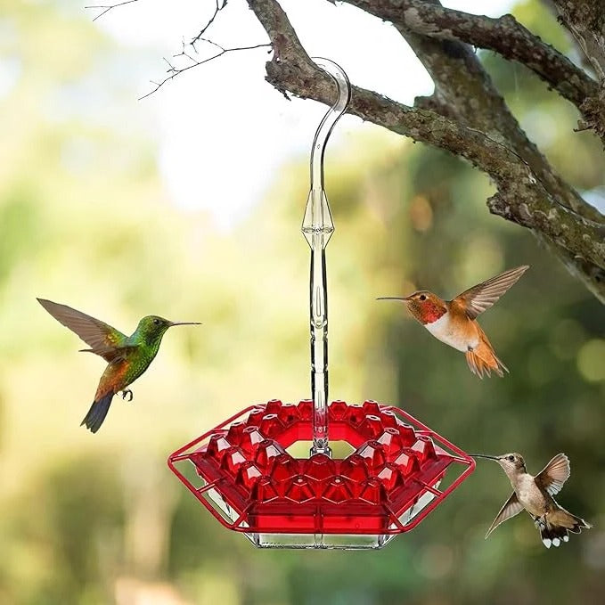 Kolibri-Futterspender Polycarbonat, 30 Öffnungen | Ameisensicher mit Wassergraben | UV-beständig, wetterfest, zum Aufhängen 1