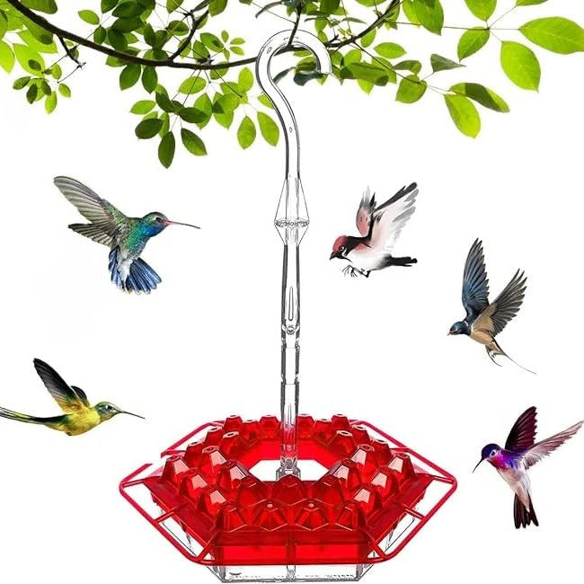 Kolibri-Futterspender Polycarbonat, 30 Öffnungen | Ameisensicher mit Wassergraben | UV-beständig, wetterfest, zum Aufhängen 5