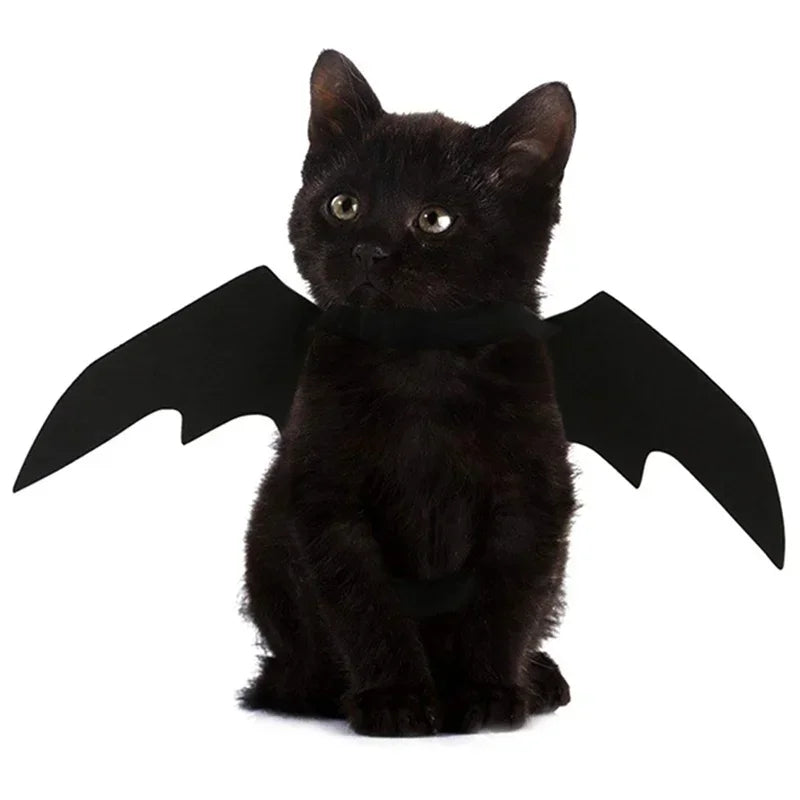 Haustier Kostüm Fledermausflügel Halloween | Verstellbar für Katzen und Hunde | Leichter Filzstoff, atmungsaktiv 2
