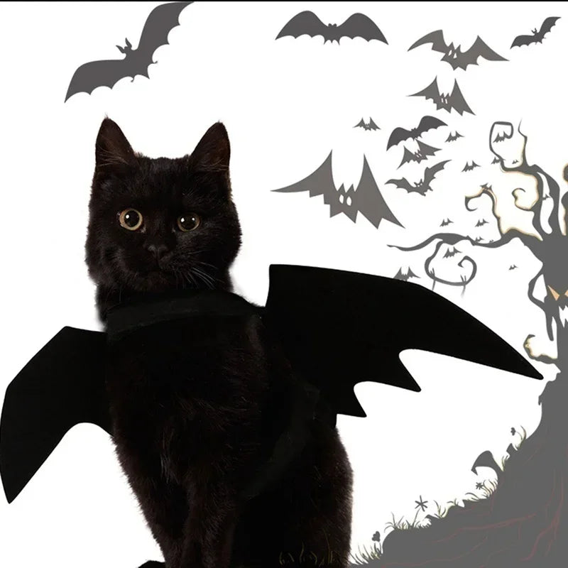 Haustier Kostüm Fledermausflügel Halloween | Verstellbar für Katzen und Hunde | Leichter Filzstoff, atmungsaktiv 3