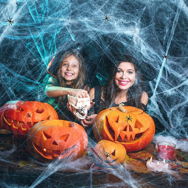 Halloween Spinnennetz Deko mit Kunstspinne | Dehnbar für Innen und Außen | Für Garten, Eingang, Terrasse und Halloween-Party 1