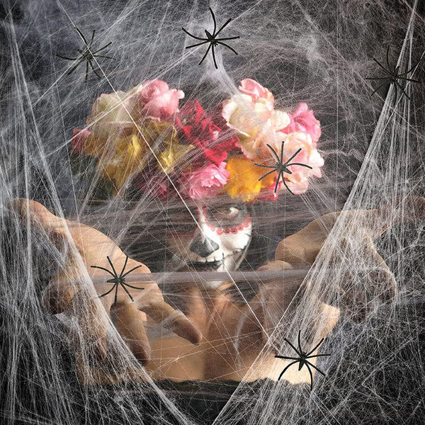 Halloween Spinnennetz Deko mit Kunstspinne | Dehnbar für Innen und Außen | Für Garten, Eingang, Terrasse und Halloween-Party