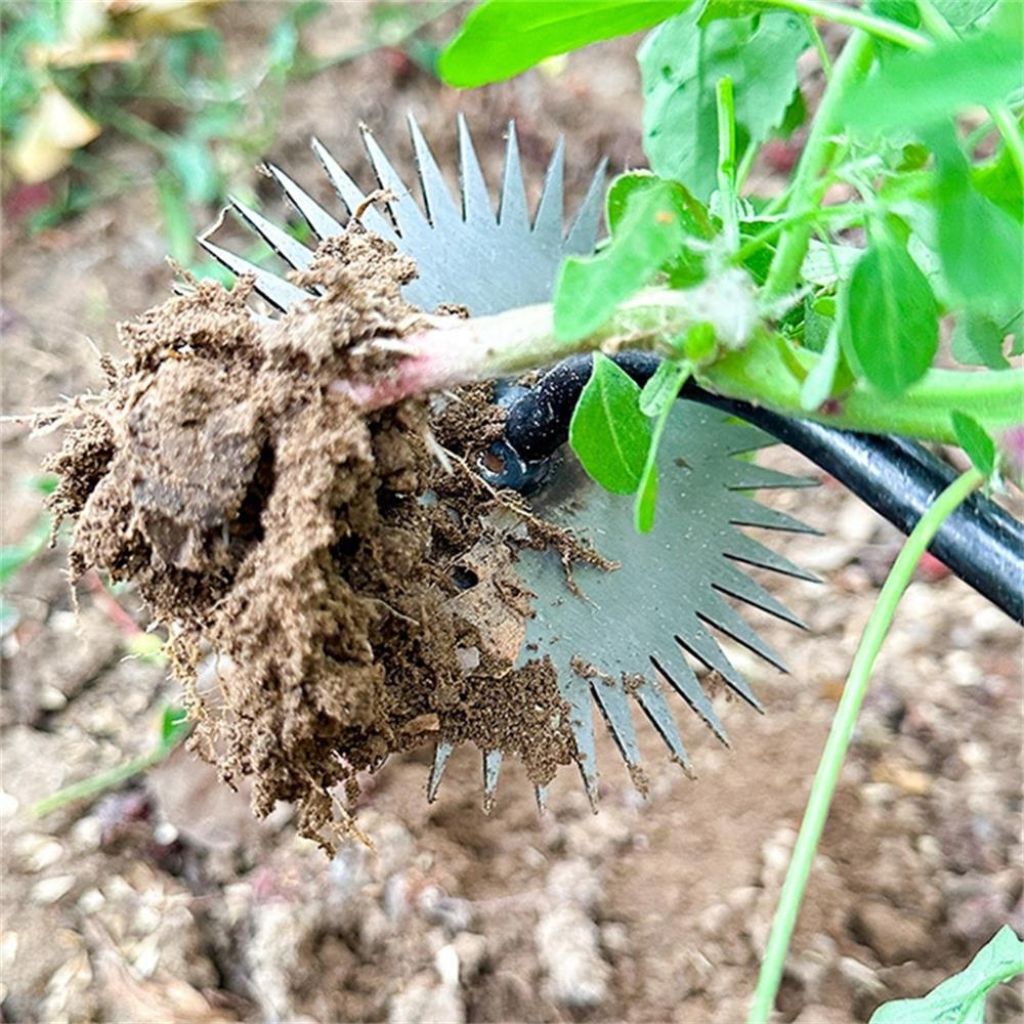 Sonnenblumenschaufel Manganstahl | Holzgriff | Unkrautstecher Beetpflege | Spadewheel