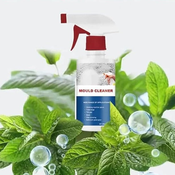 Schimmelentferner Spray Chlorformel konzentriert mit Schutzfilm 2
