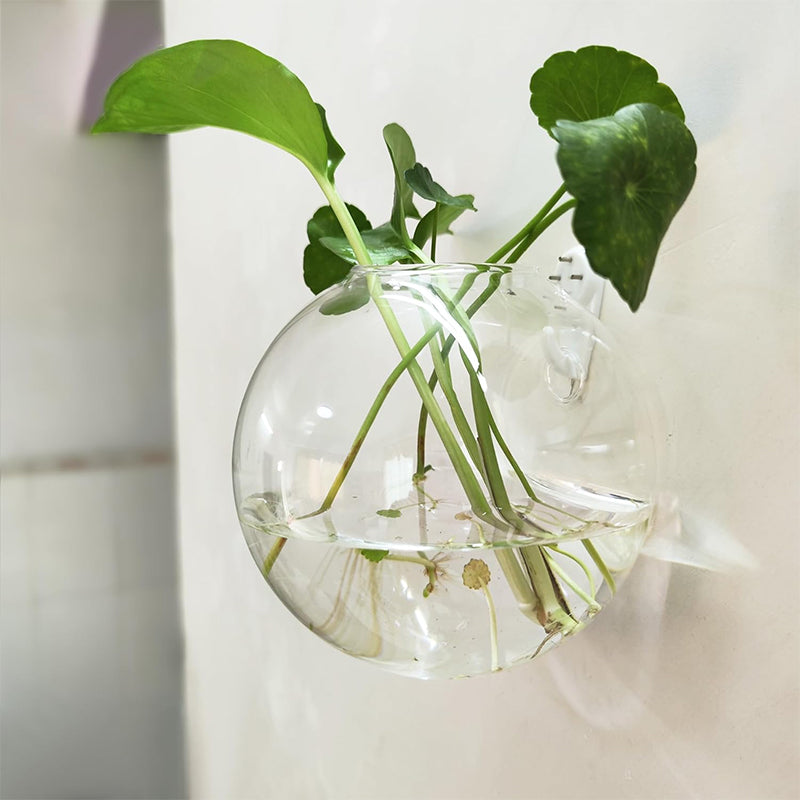 Wandvase Borosilikatglas, 10/12/15 cm | Bohrfreie Montage ohne Werkzeug | Wasserdicht, hitzebeständig, kratzfest 7