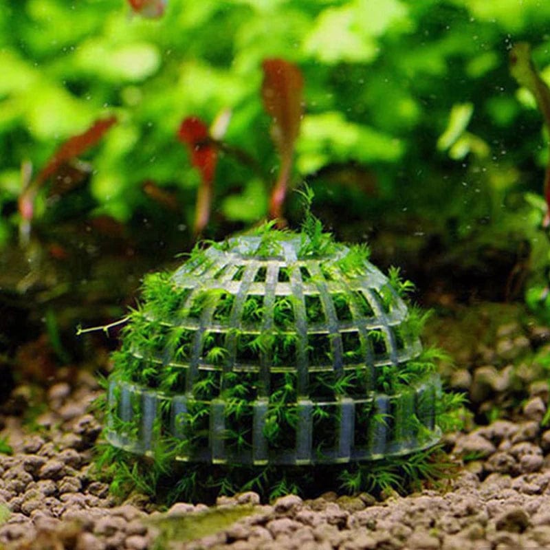 Aquarium Moosball Filter aus Kunststoff | Fadenstruktur für Moos und Wasserpflanzen | Hält Filtermaterial für klares Wasser 2
