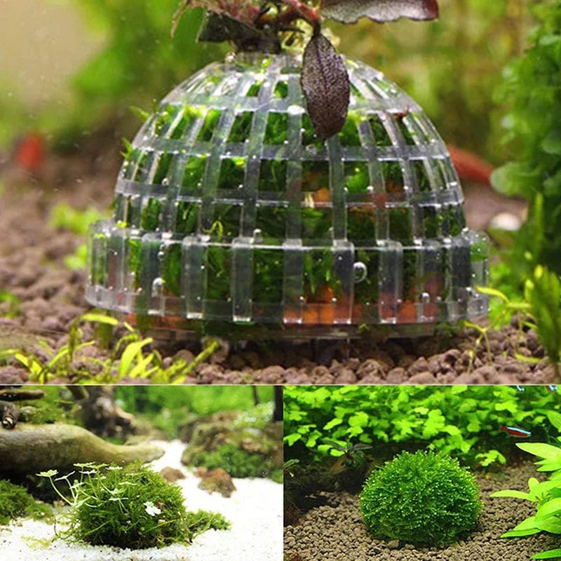 Aquarium Moosball Filter aus Kunststoff | Fadenstruktur für Moos und Wasserpflanzen | Hält Filtermaterial für klares Wasser 3