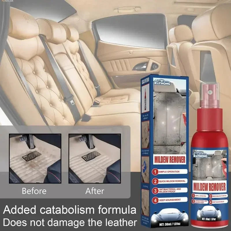 Auto-Schimmelentferner Spray | Für Innenraum Oberflächen | Schnell anwenden | MoldGuard