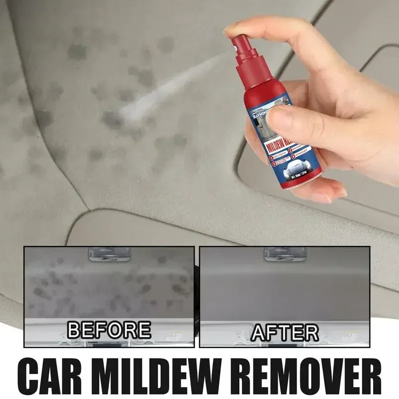 Auto-Schimmelentferner Spray | Für Innenraum Oberflächen | Schnell anwenden | MoldGuard