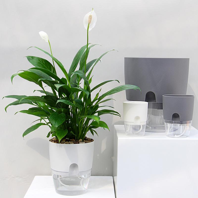 Blumentopf | Selbstbewässernder | Saubere Bewässerung | AquaWick