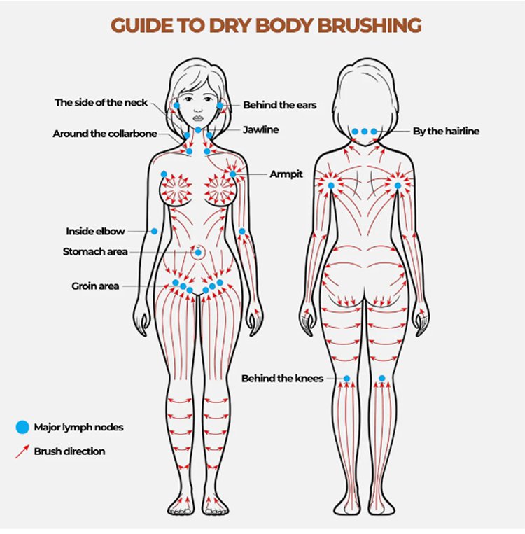 Contour Gesichtsbürste | Lymph Massage Pinsel | Weiche Borsten sanftes Gefühl | Lynure