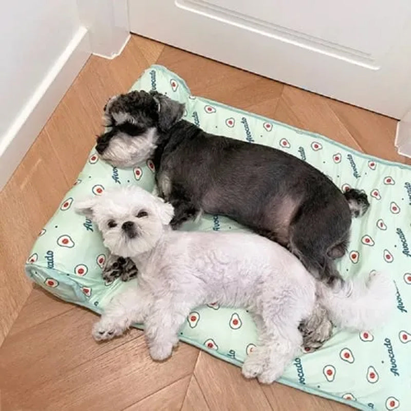 CoolPetty™ | Kühlmatte aus Eis-Seide für Hunde und Katzen