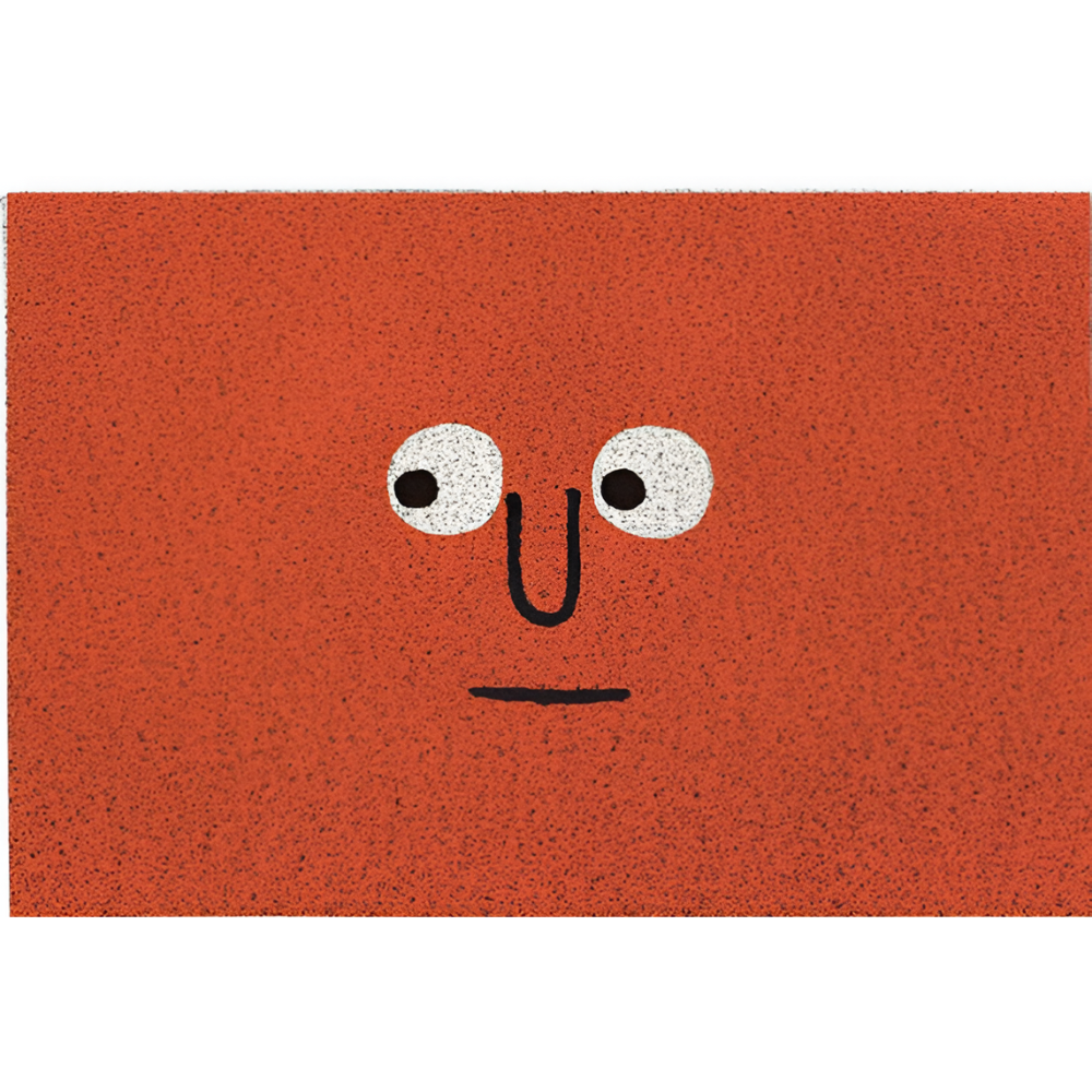 Fußmatte | Rutschfest für sicheren Halt | Nimmt Schmutz und Feuchtigkeit auf | Entrivo