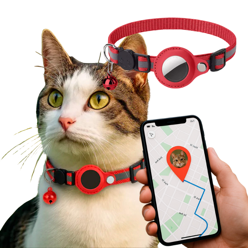 GPS Katzenhalsband | Sicherheitsverschluss & Reflektierend | Verstellbar | Tracepaw