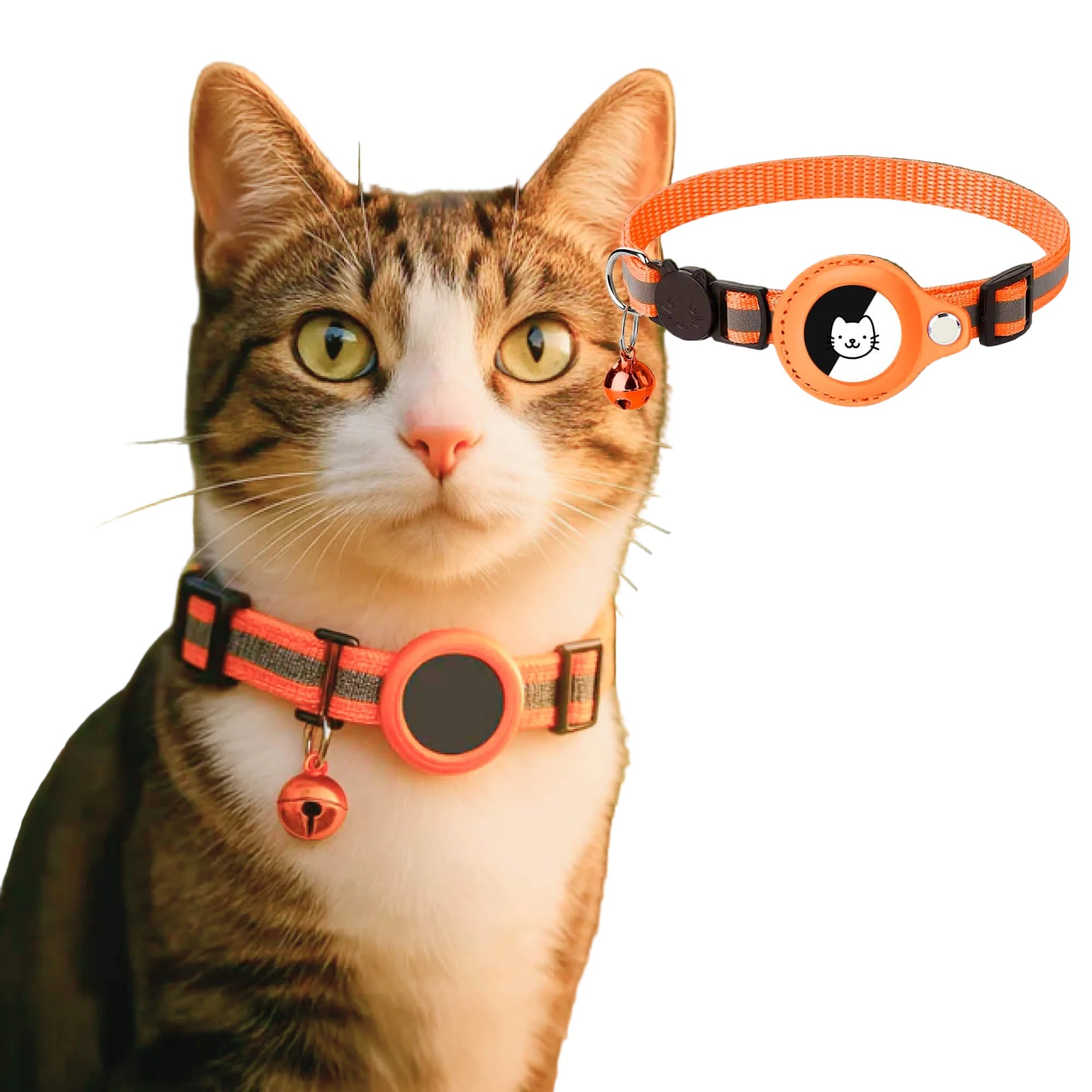 GPS Katzenhalsband | Sicherheitsverschluss & Reflektierend | Verstellbar | Tracepaw
