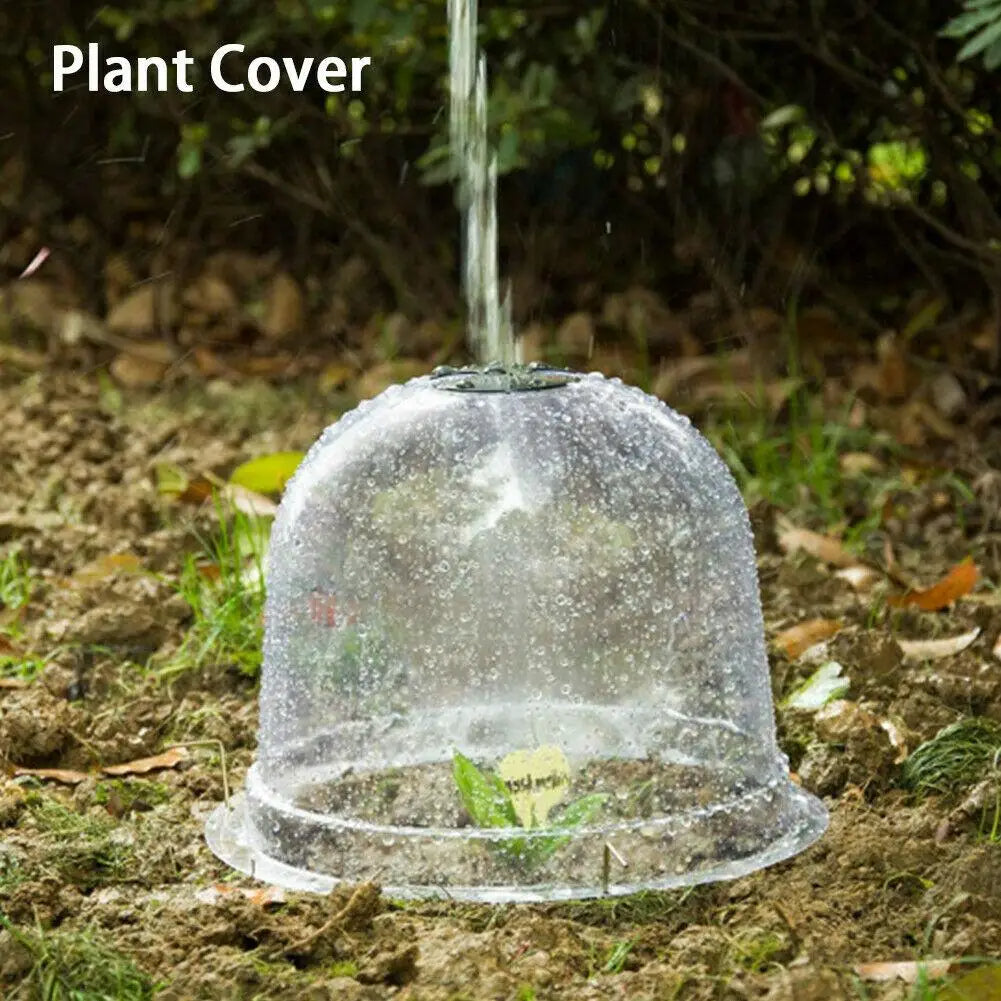Tuinplantenafdekking | Transparante Vorstbescherming | Voor Groenten & Jonge Planten | Frostguard