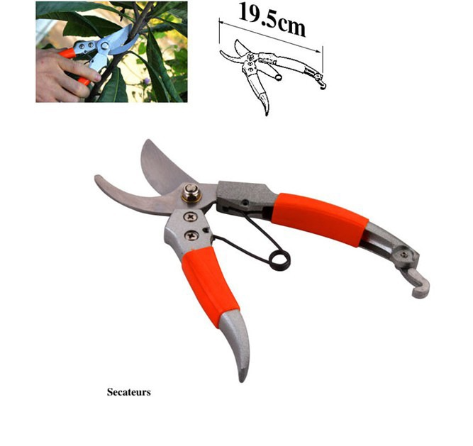 Gartenwerkzeug-Set 10-teilig aus Metall | Mit Tragetasche, ergonomische Griffe | Rostbeständig, leicht, für Beete und Balkone